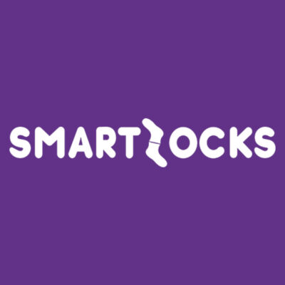 Smartzocks